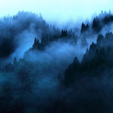 "Mount'N Mist" Apartment เอลลา ภายนอก รูปภาพ