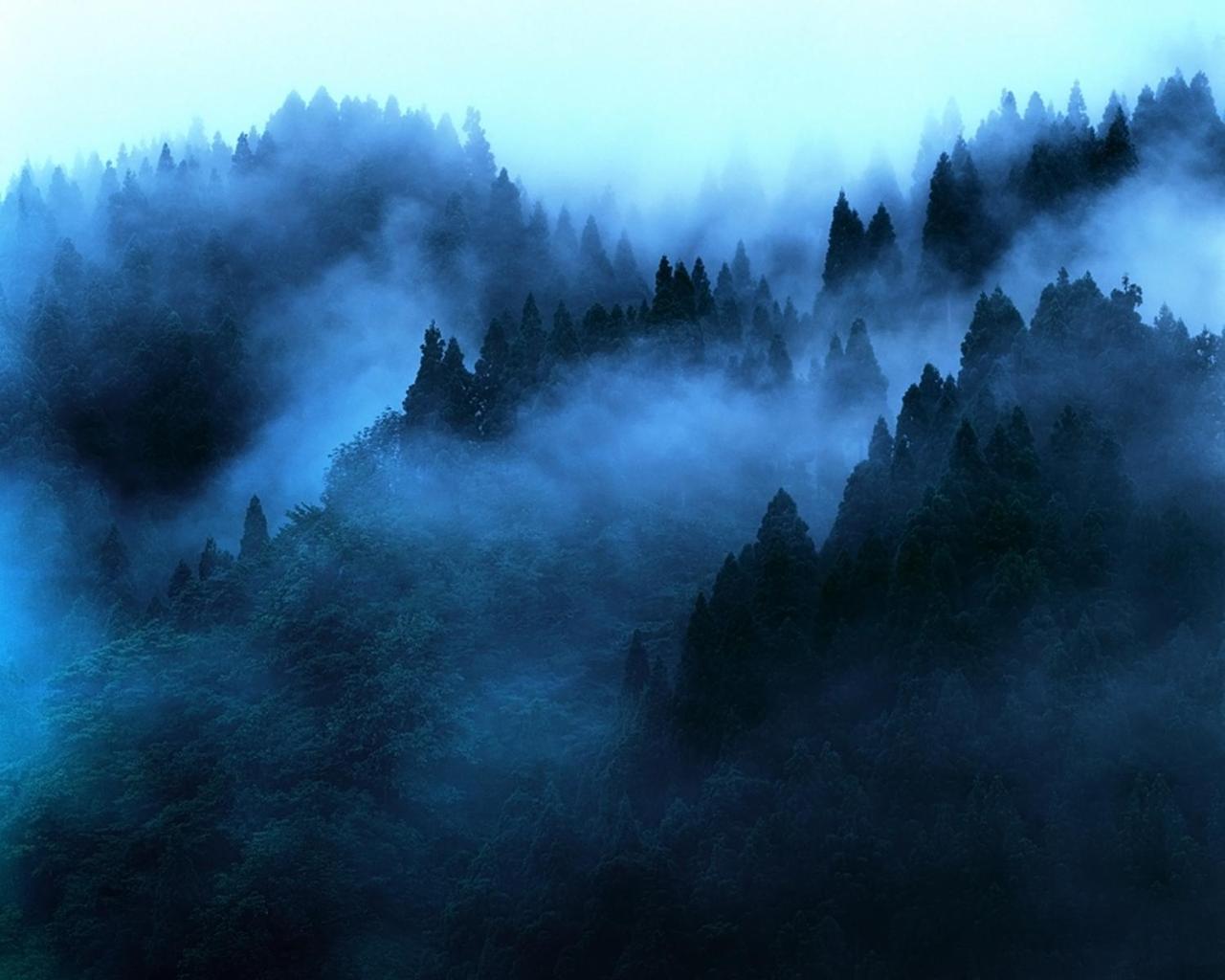 "Mount'N Mist" Apartment เอลลา ภายนอก รูปภาพ