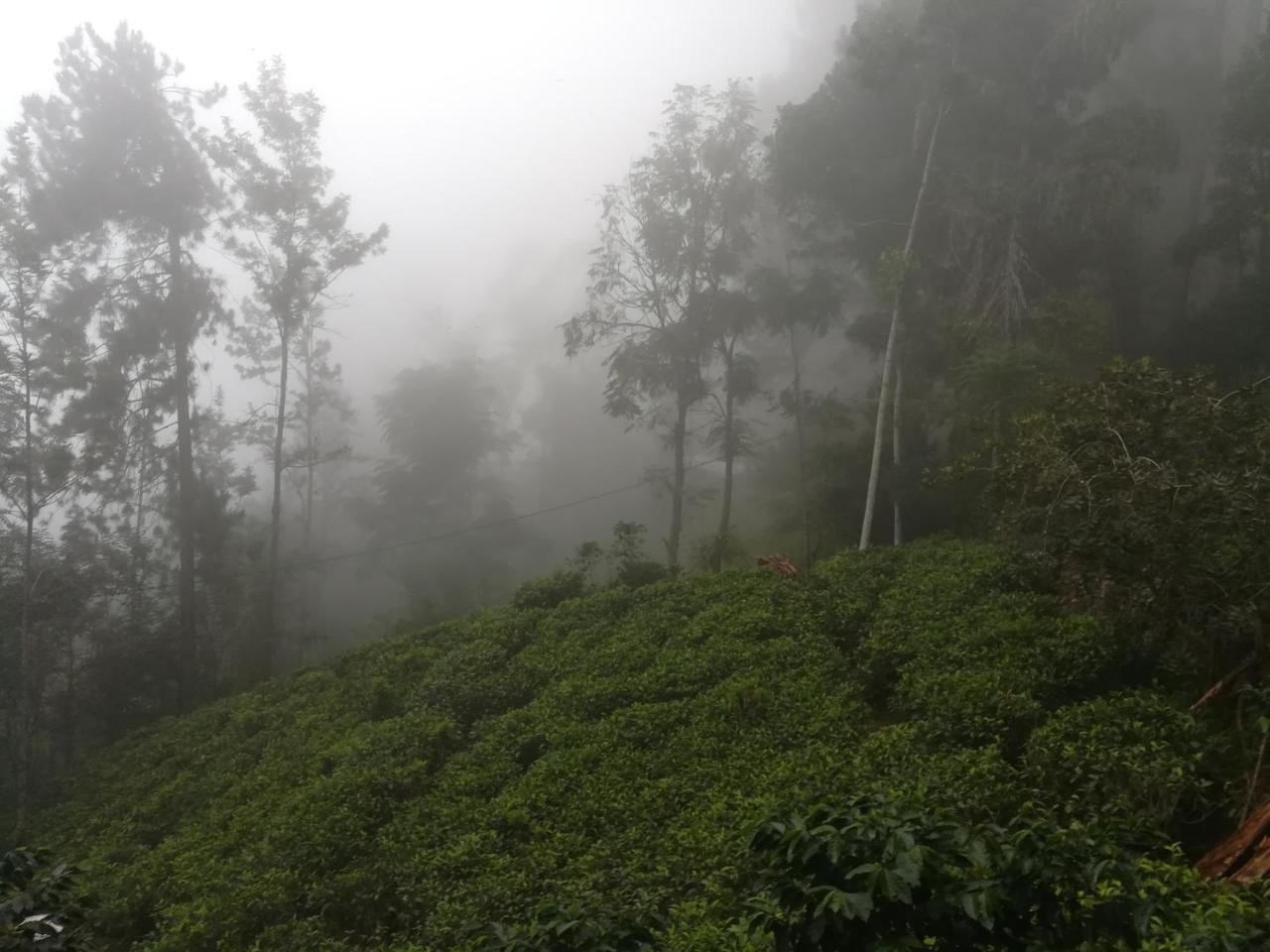"Mount'N Mist" Apartment เอลลา ภายนอก รูปภาพ