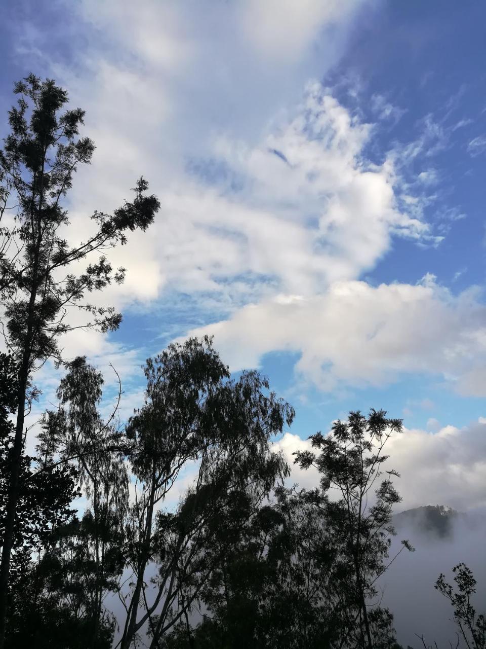 "Mount'N Mist" Apartment เอลลา ภายนอก รูปภาพ
