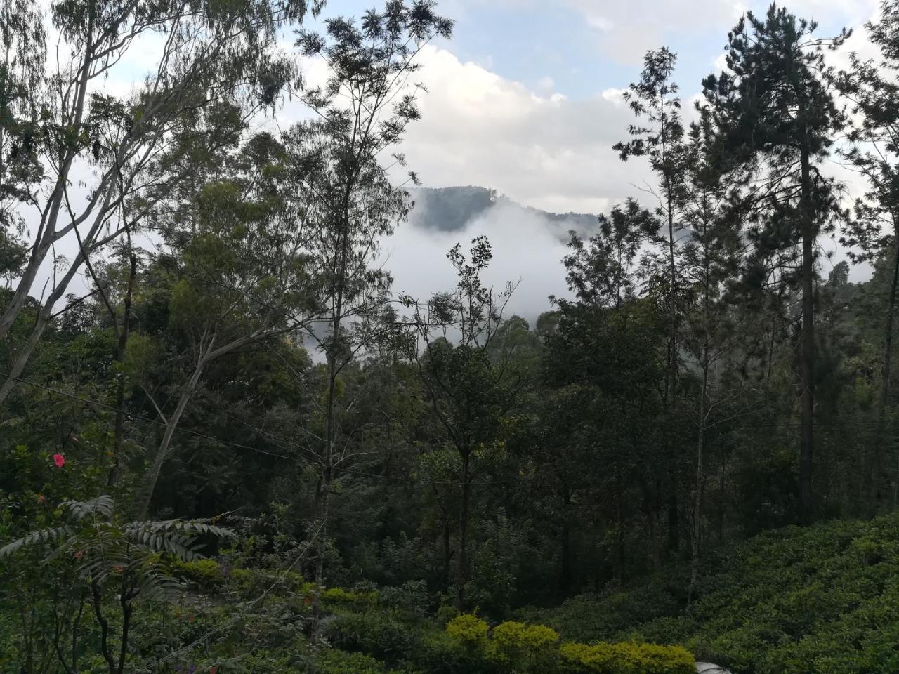 "Mount'N Mist" Apartment เอลลา ภายนอก รูปภาพ