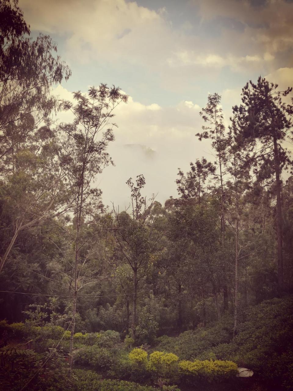 "Mount'N Mist" Apartment เอลลา ภายนอก รูปภาพ