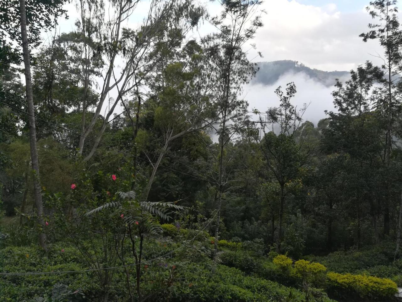 "Mount'N Mist" Apartment เอลลา ภายนอก รูปภาพ