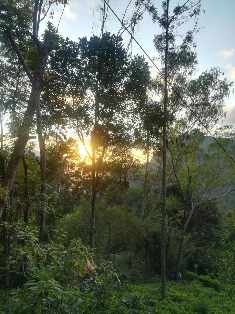 "Mount'N Mist" Apartment เอลลา ภายนอก รูปภาพ