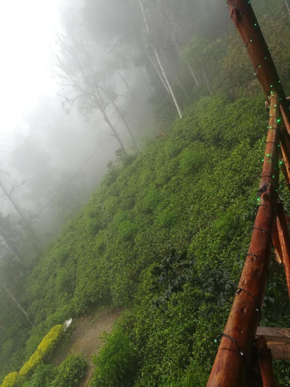 "Mount'N Mist" Apartment เอลลา ภายนอก รูปภาพ