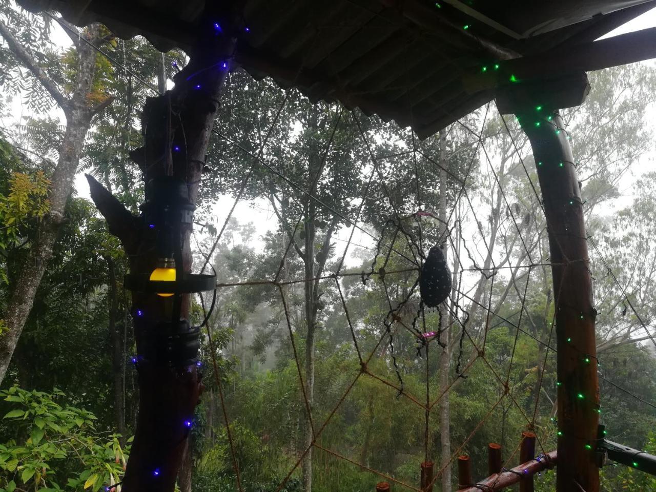 "Mount'N Mist" Apartment เอลลา ภายนอก รูปภาพ