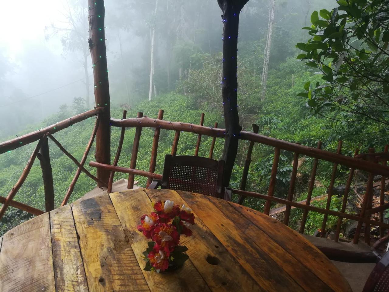 "Mount'N Mist" Apartment เอลลา ภายนอก รูปภาพ