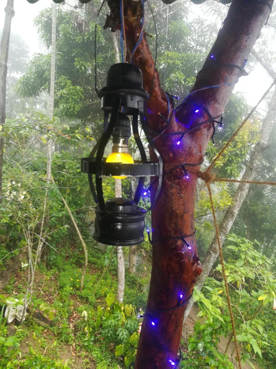 "Mount'N Mist" Apartment เอลลา ภายนอก รูปภาพ
